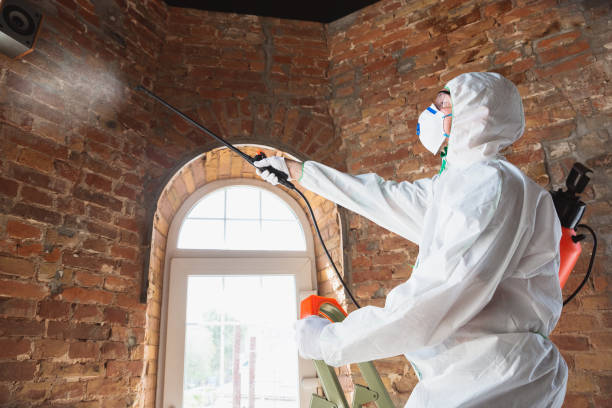 Best Mold Prevention Services  in North Hills, NY