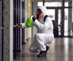 Best Mold Odor Removal Services  in North Hills, NY